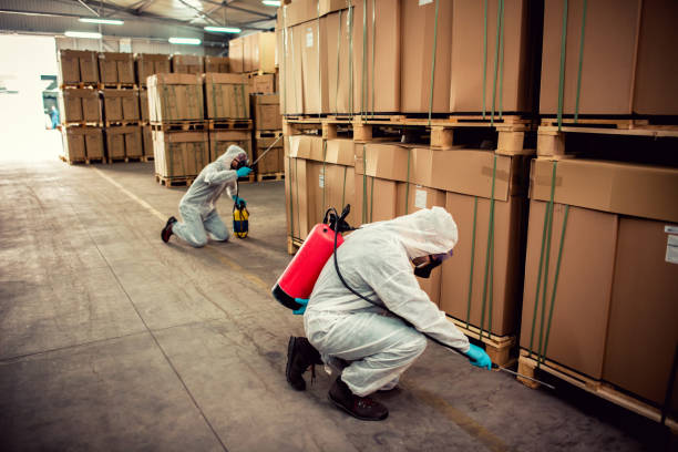 Best Emergency Pest Control  in Callaway, MD