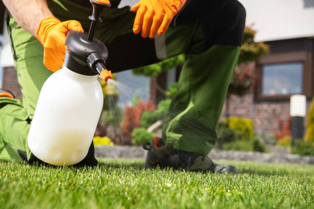 Best Affordable Pest Control Services  in Callaway, MD