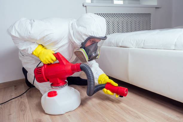 Best Termite Control Services  in Callaway, MD