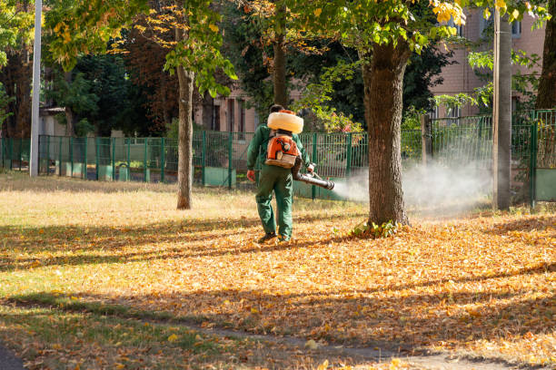 Best Mosquito Control Services  in Callaway, MD